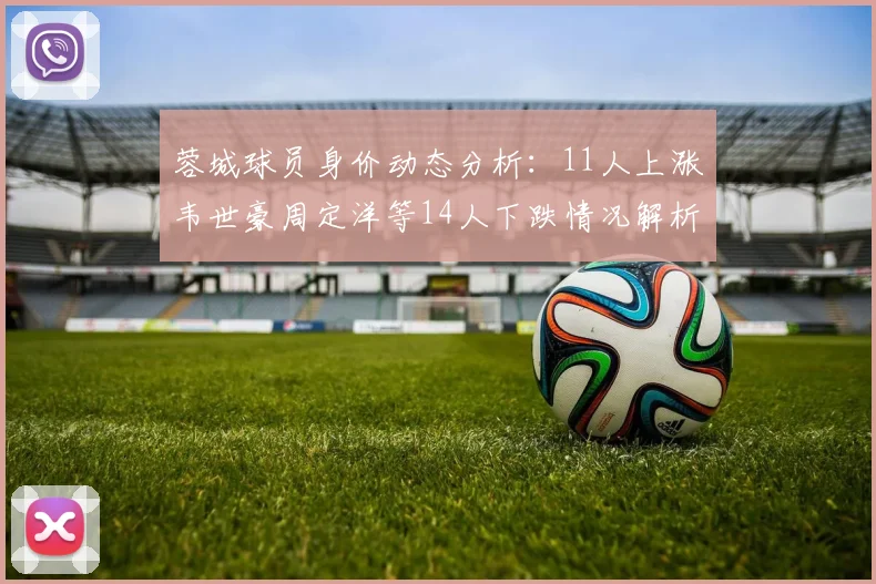 蓉城球员身价动态分析：11人上涨韦世豪周定洋等14人下跌情况解析